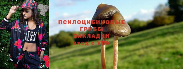 прущие грибы Алексеевка