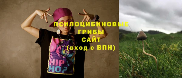 прущие грибы Алексеевка