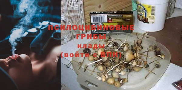 дживик Алексин