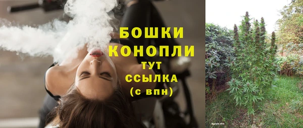 ПСИЛОЦИБИНОВЫЕ ГРИБЫ Абаза