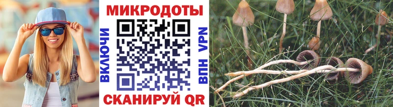 Галлюциногенные грибы прущие грибы  Благовещенск 